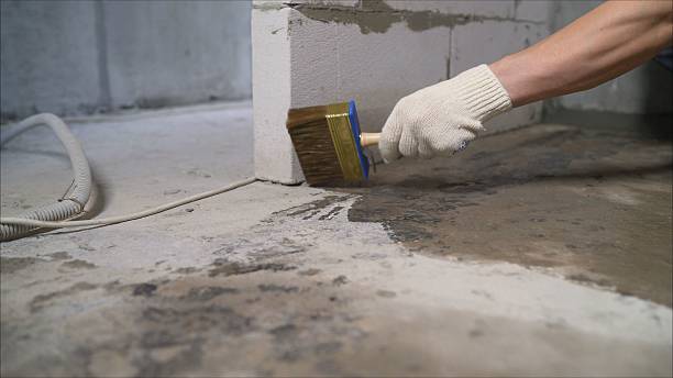 SJ Waterproofing Pros Basement Waterproofing coverage map for Daleville, AL and surrounding area